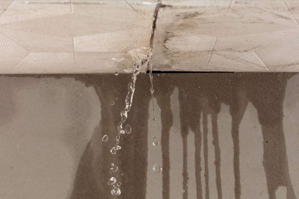 Professional Structural Drying technician working in Weston, NJ